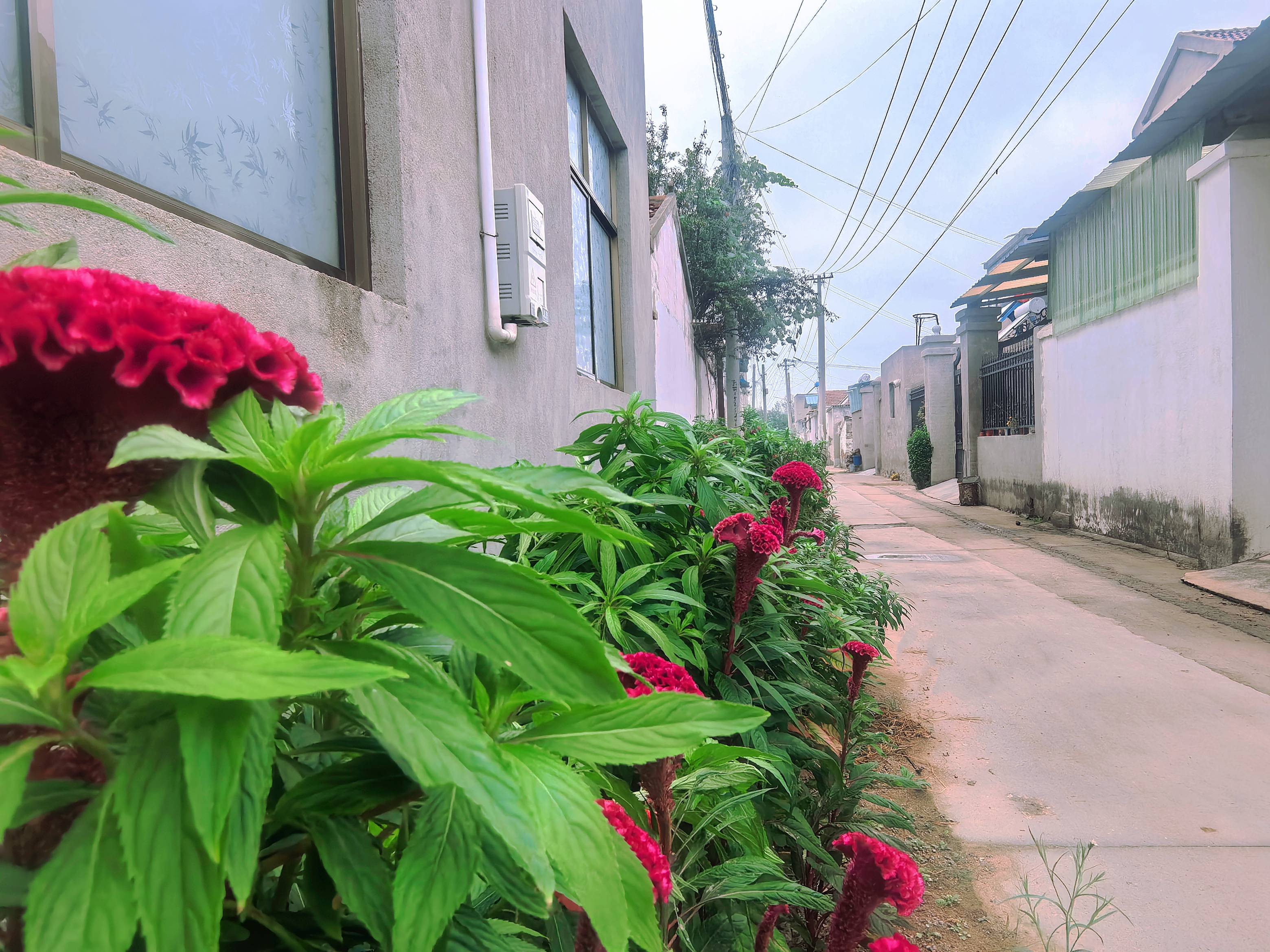 徐州經開區(qū)徐莊鎮(zhèn)：一村一策 持續(xù)推動村集體經濟發(fā)展壯大